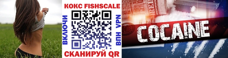 COCAIN FishScale  Купить  Химки