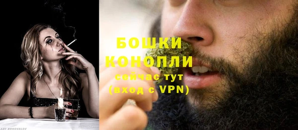 мдпв Кинешма